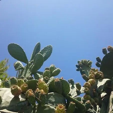 Mykonos Waterfront House Walk To Private Vakantiehuis *