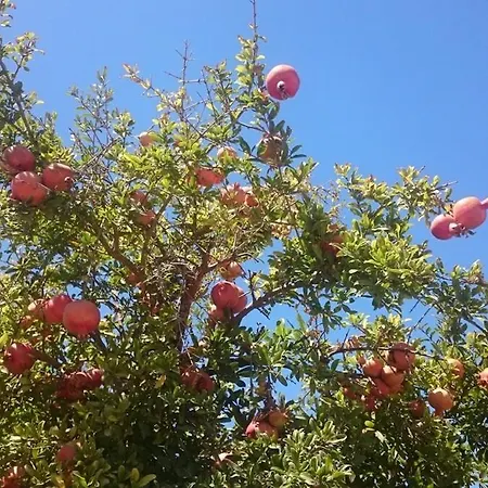 Holiday home Mykonos Waterfront House Walk To Private