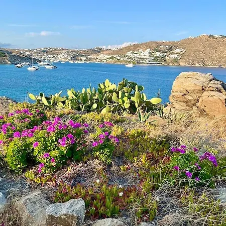 Mykonos Waterfront House Walk To Private
