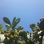Mykonos Waterfront House Walk To Private Holiday home *